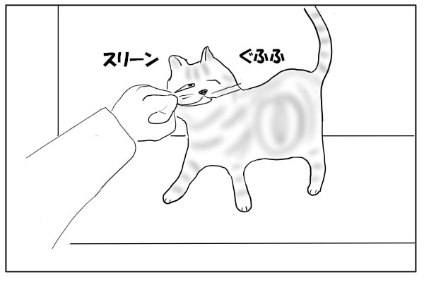 スリスリする猫