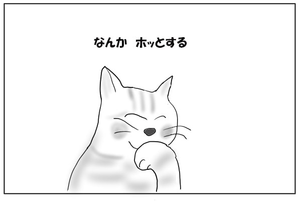 毛繕いする猫