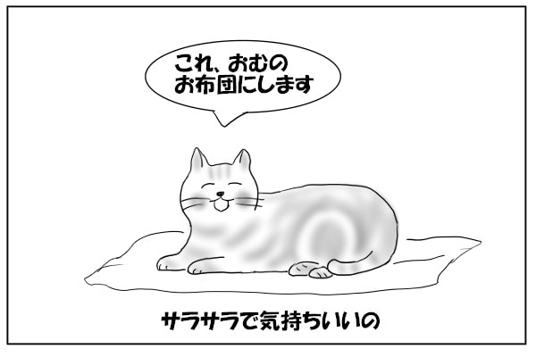 洗濯物に乗る猫