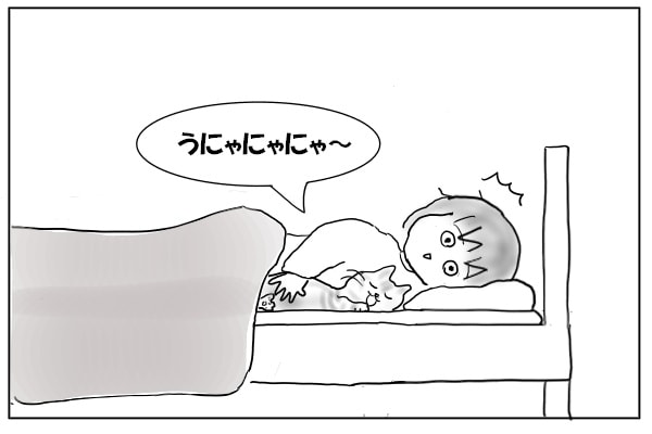 猫が寝言
