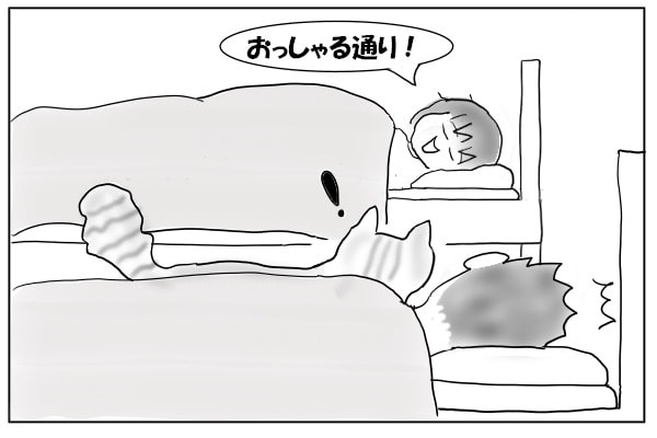 私の寝言