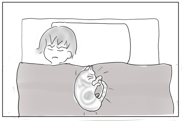 じりじり詰め寄る猫