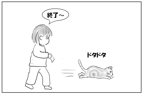 追い越す猫