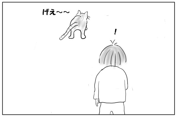 吐く猫