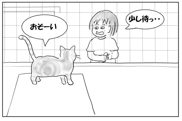 かぶせてくる猫