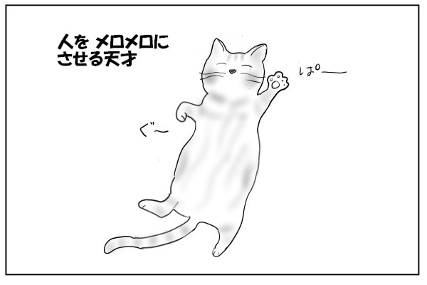 猫の才能