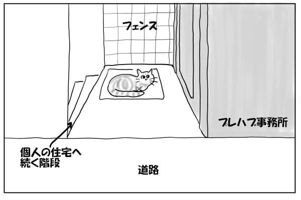 ノラ猫