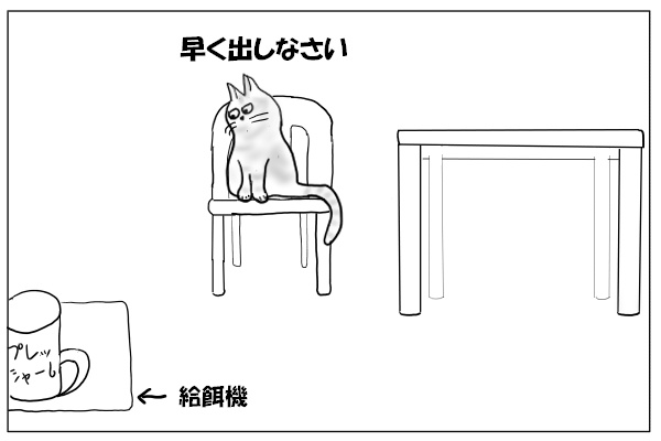 スタンバイする猫