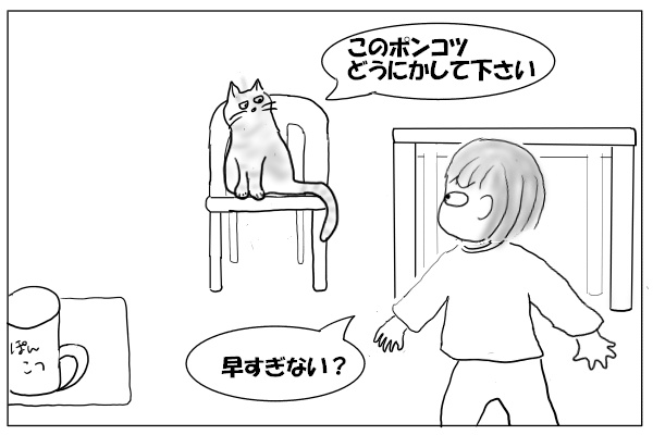 座っている猫を目撃