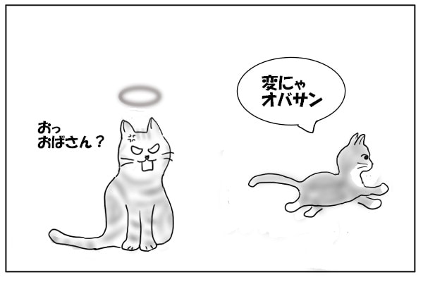 仔猫とオバサン猫