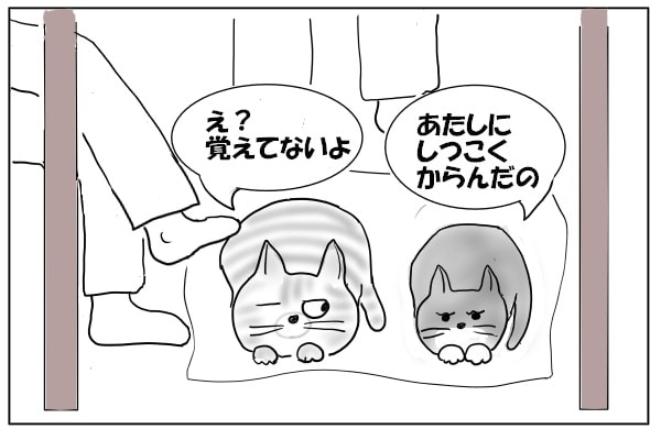 ケンカのきっかけ