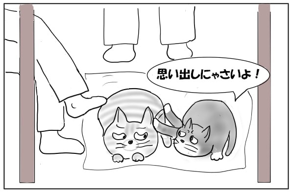 手を出すメス猫