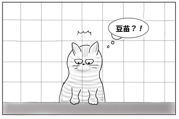 豆苗をじっと見る猫