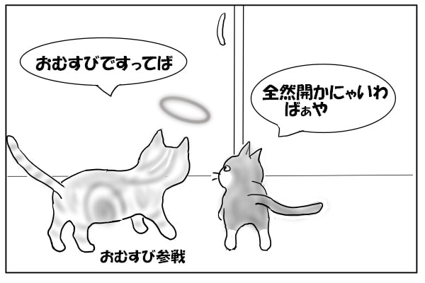 ドアを開けられない猫