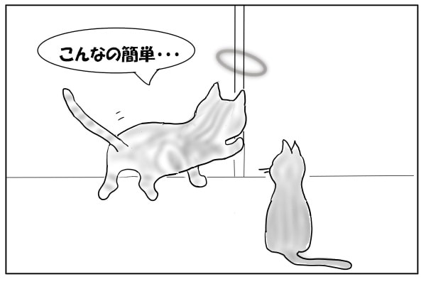 先代猫参戦