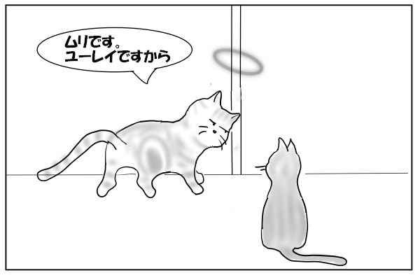 ドアがあかない