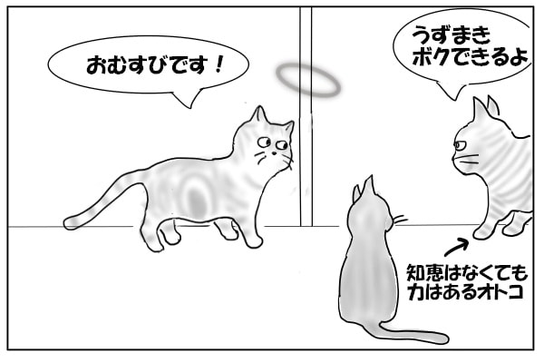 マッチョ猫参戦