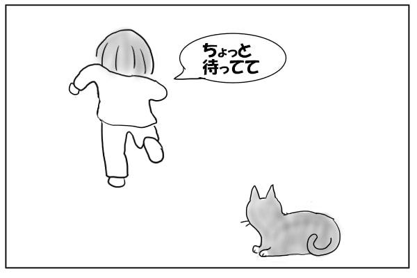 猫のために走る女