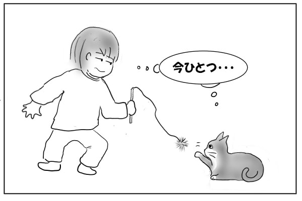 乗り気でない猫