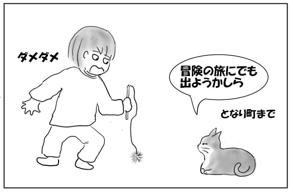 やはり退屈する猫