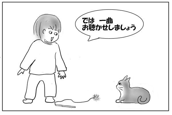 猫を喜ばせるために