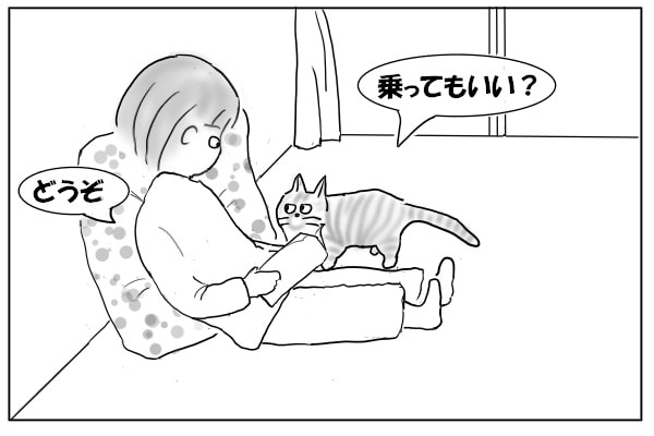 礼儀正しい猫