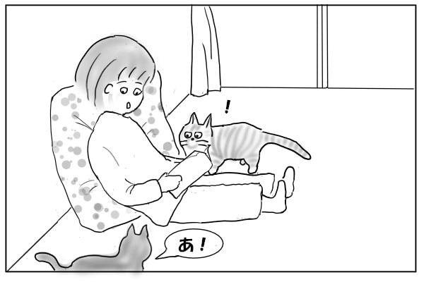 かち合う猫