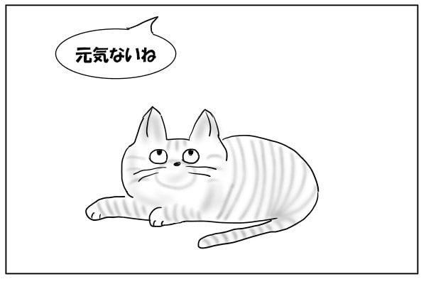 元気のない猫