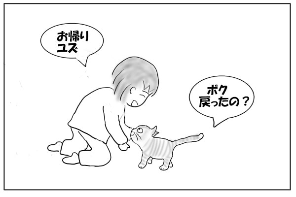 帰宅した猫