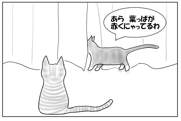 窓辺の猫たち