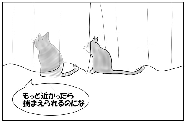 狩りの話をするねこたち