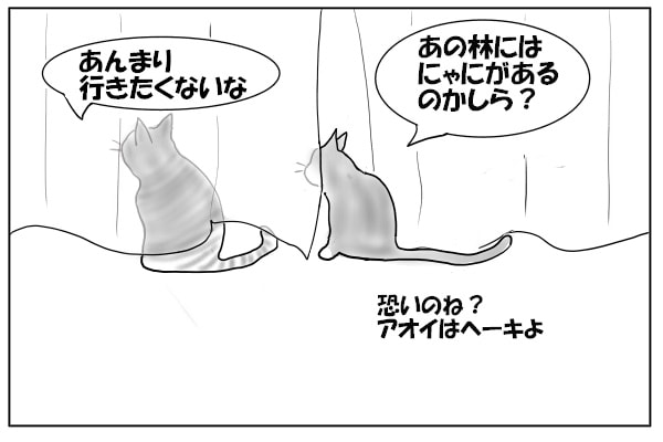 猫の好奇心