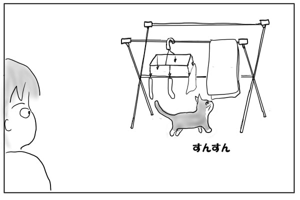 部屋干しと猫