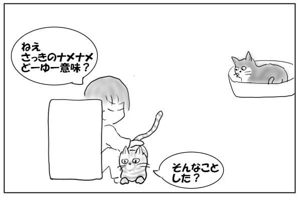 怪訝に見る猫