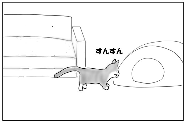 チェックをする猫