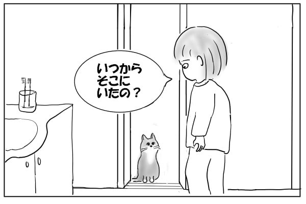 待っていた猫