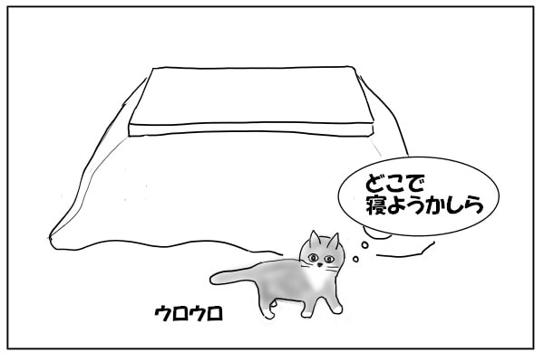 うろつく猫