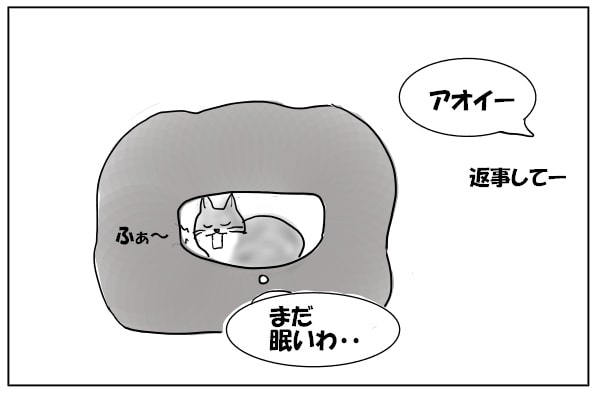 あくびする猫