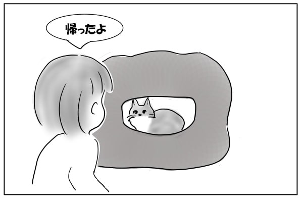 猫を見つける