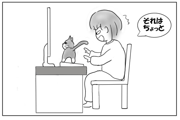 キーボードに乗る猫