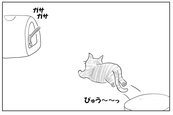 飛んでいく猫