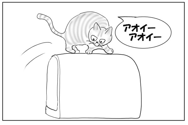 嫌がらせする猫