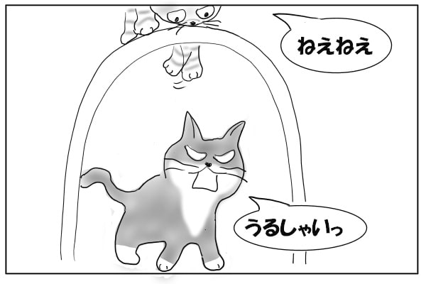 切れるねこ