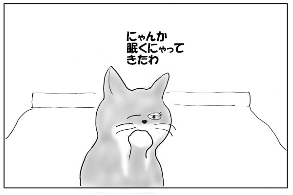 眠い猫