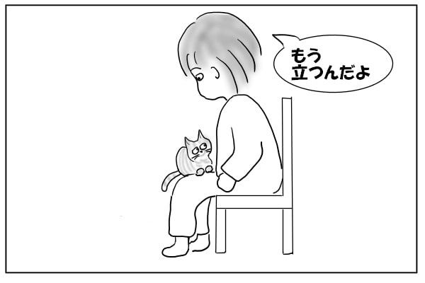 猫と飼い主