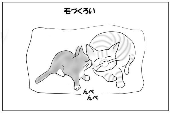 毛づくろいする猫