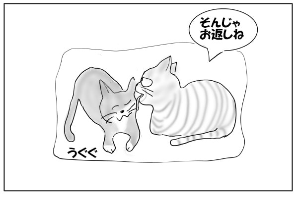 お返しする猫