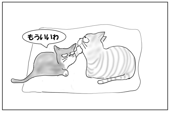 やめてほしい猫