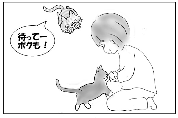 飛んでくる猫