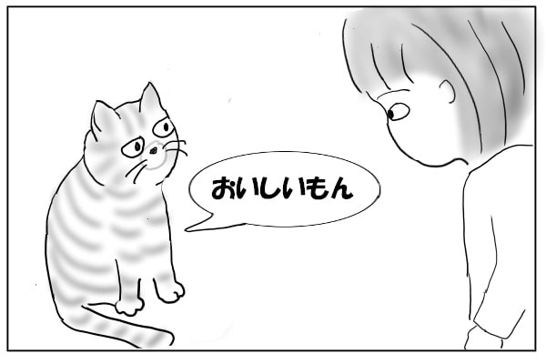 猫と飼い主